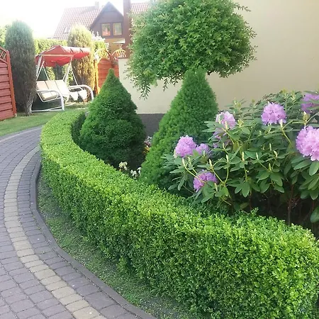 Goscinne U Elzbiety ホームステイ *